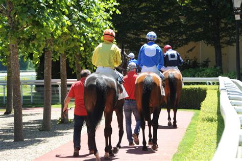 Latest Horse Racing Tips for Pornichet .